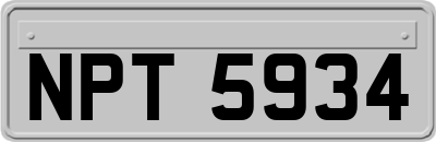 NPT5934