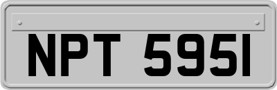 NPT5951