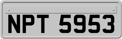NPT5953