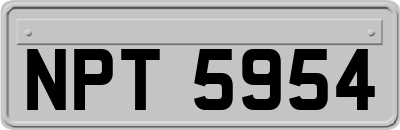 NPT5954