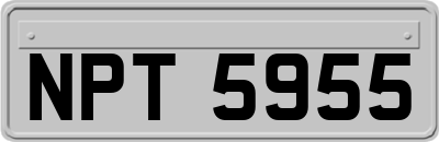 NPT5955