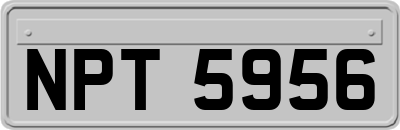 NPT5956