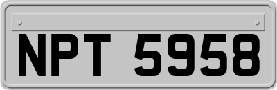 NPT5958