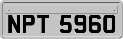 NPT5960