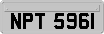 NPT5961
