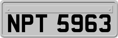 NPT5963