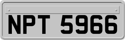 NPT5966