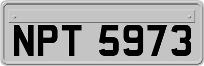 NPT5973