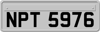 NPT5976