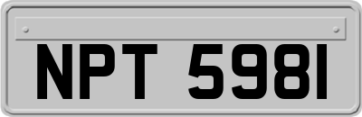NPT5981