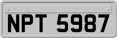 NPT5987