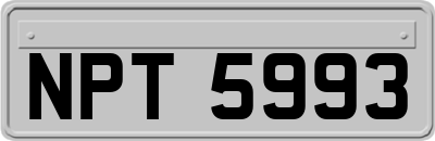 NPT5993