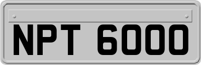 NPT6000