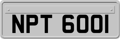 NPT6001