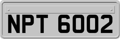 NPT6002