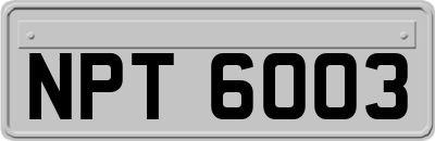 NPT6003