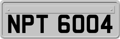 NPT6004