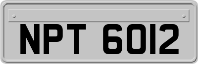 NPT6012