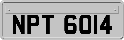 NPT6014