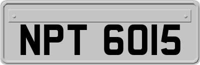 NPT6015