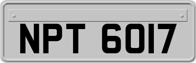 NPT6017