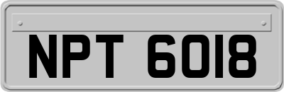 NPT6018