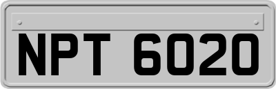 NPT6020