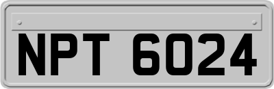 NPT6024