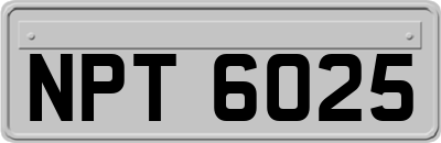 NPT6025
