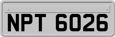 NPT6026