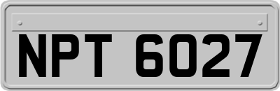 NPT6027