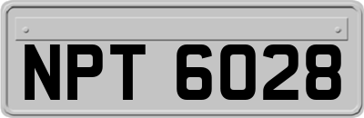 NPT6028