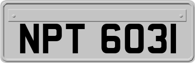 NPT6031