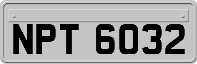 NPT6032