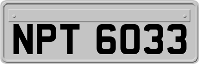 NPT6033