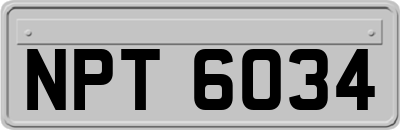 NPT6034