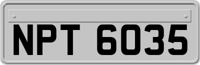NPT6035