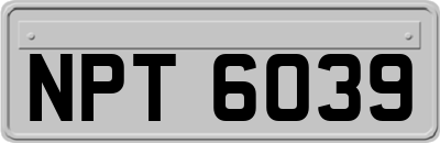 NPT6039