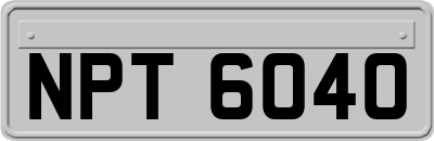 NPT6040