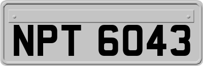 NPT6043