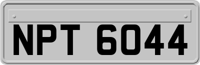 NPT6044