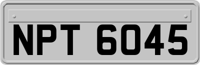 NPT6045