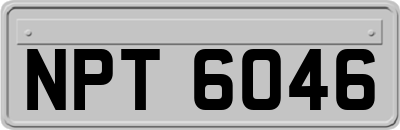 NPT6046