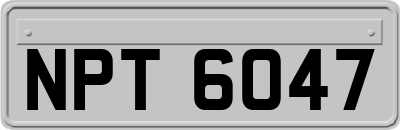 NPT6047