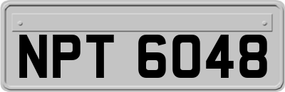 NPT6048