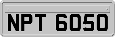 NPT6050