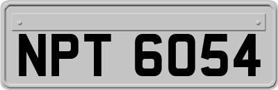 NPT6054