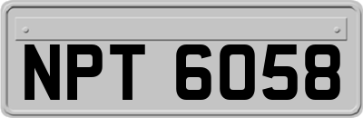 NPT6058