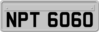 NPT6060