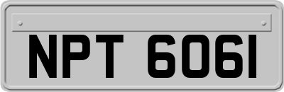 NPT6061